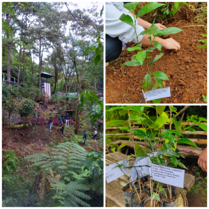 CCDC Strengthens Land Conservation Through Project SAGIP at Admirals Farm Park