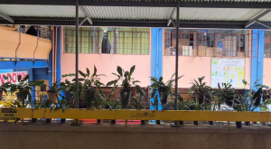 WATER-WISE LANDSCAPING: PROMOTING SUSTAINABLE PLANTING AND WATER CONSERVATION ON CAMPUS